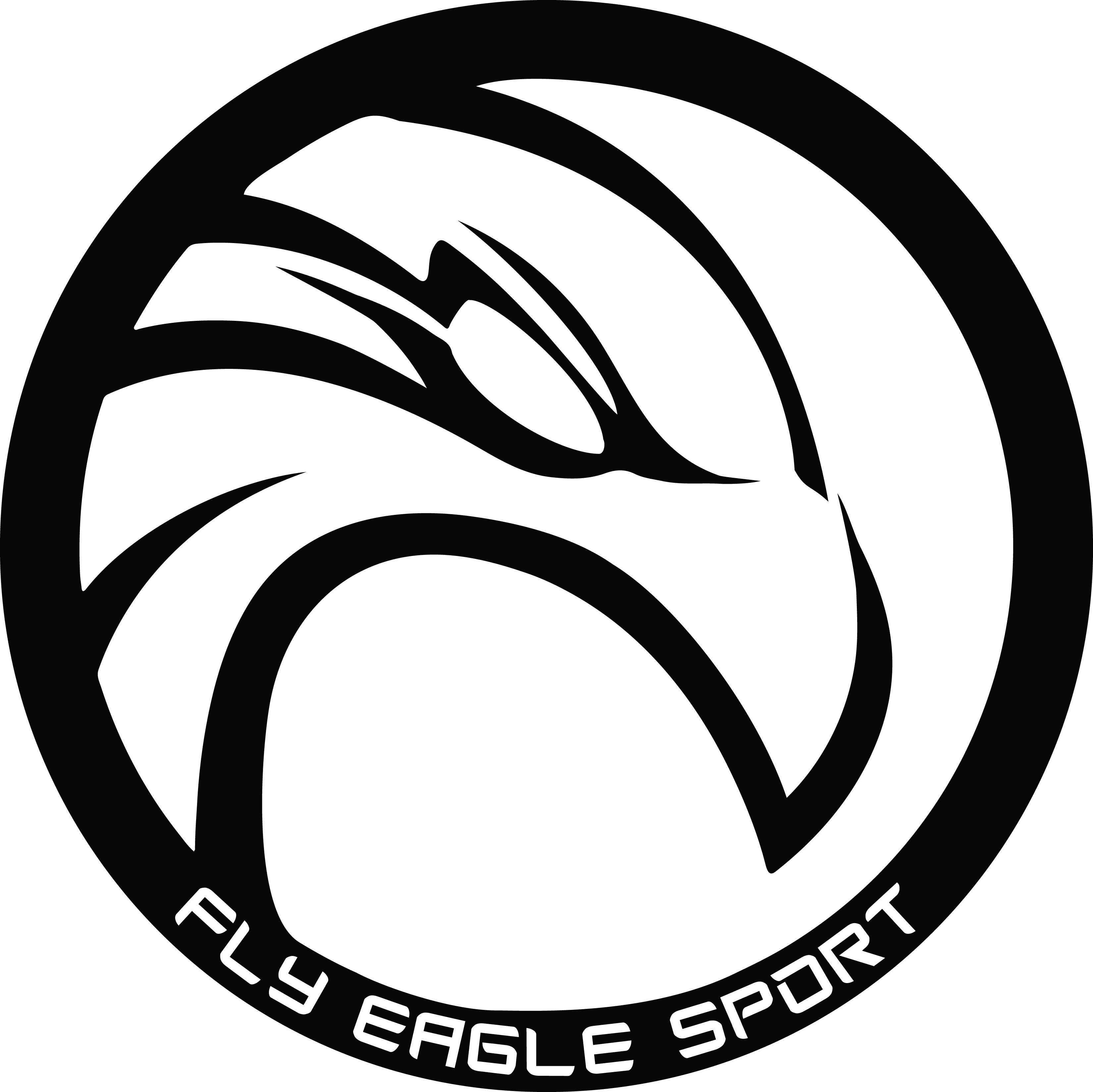 Fly Eagle Sport logo