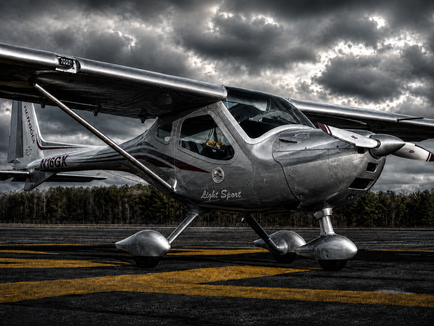 Remos GX — Fly Eagle Sport training aircraft